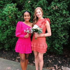 Lovers and Friends dress